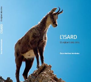 LISARD