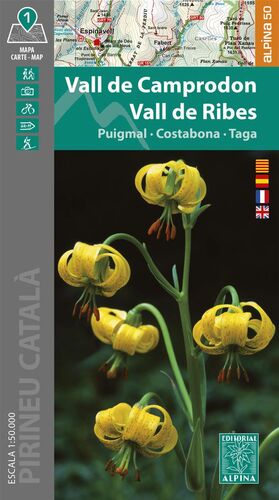 VALL DE CAMPRODON, VALL DE RIBES 1:50,000