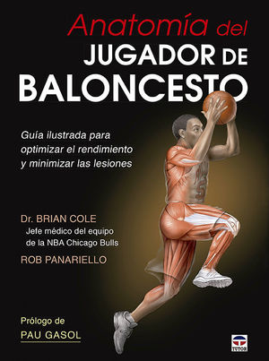 ANATOMÍA DEL JUGADOR DE BALONCESTO *