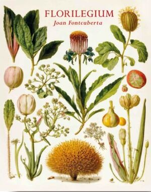 FLORILEGIUM *