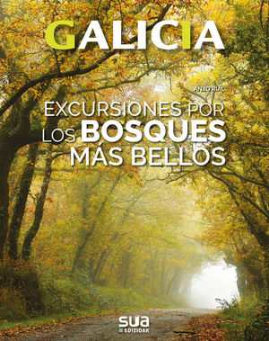 GALICIA. EXCURSIONES POR LOS BOSQUES MAS BELLOS Nº 3 *