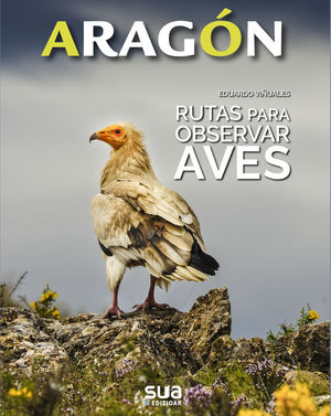 ARAGÓN: RUTAS PARA OBSERVAR AVES *