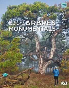 CATALUNYA: RUTES PER DESCOBRIR ARBRES MONUMENTALS. Nº 20