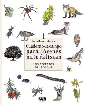 LOS SECRETOS DEL BOSQUE *