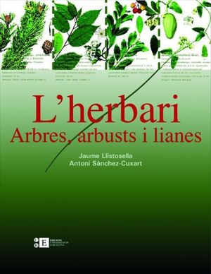 L'HERBARI: ARBRES, ARBUSTS I LIANES *
