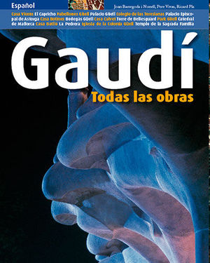 GAUDÍ (GT-E) *