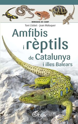 AMFIBIS I REPTILS DE CATALUNYA