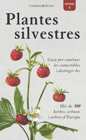 PLANTES SILVESTRES *