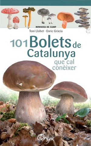 101 BOLETS DE CATALUNYA  *