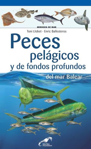 PECES PELÁGICOS Y DE FONDOS PROFUNDOS DEL MAR BALEAR *