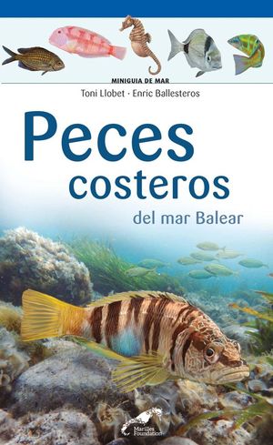 PECES COSTEROS DEL MAR BALEAR *