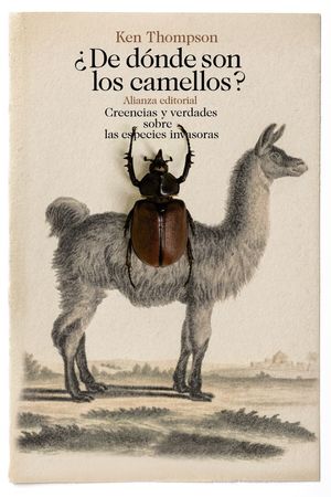 ¿DE DÓNDE SON LOS CAMELLOS? *