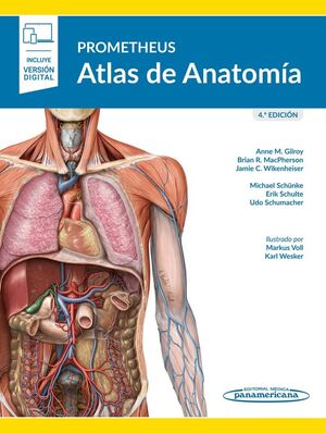 PROMETHEUS. ATLAS DE ANATOMÍA 4º ED *