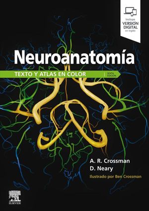 NEUROANATOMÍA *