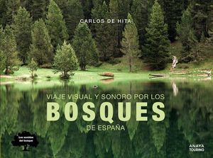 VIAJE VISUAL Y SONORO POR LOS BOSQUES DE ESPAÑA *