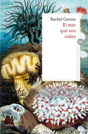 EL MAR QUE NOS RODEA *