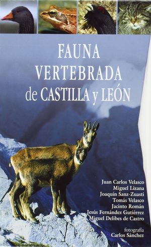 FAUNA VERTEBRADA DE CASTILLA Y LEÓN *