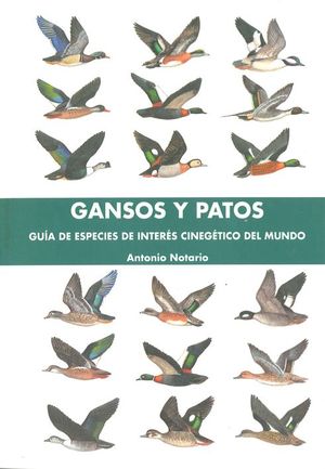 GANSOS Y PATOS (POR ENCARGO, CONTACTAR)