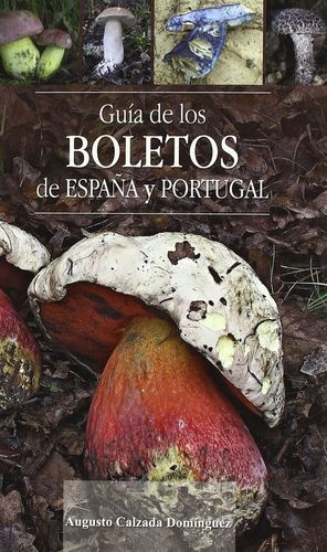 GUÍA DE LOS BOLETOS DE ESPAÑA Y PORTUGAL *