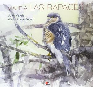 VIAJE A LAS RAPACES *