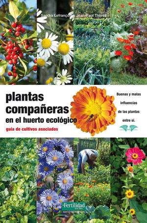 PLANTAS COMPAÑERAS DEL HUERTO *