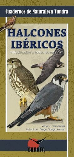 HALCONES IBERICOS Nº 12