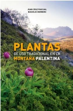 PLANTAS DE USO TRADICIONAL EN LA MONTAÑA PALENTINA *