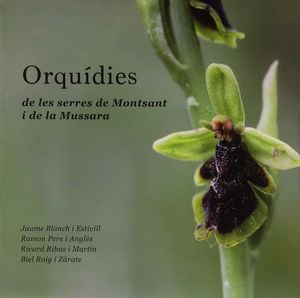 ORQUÍDIES DE LES SERRES DE MONTSANT I DE LA MUSSARA *