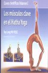 LOS MÚSCULOS CLAVE EN EL HATHA YOGA *