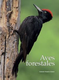 AVES FORESTALES (POR ENCARGO, CONTACTAR)