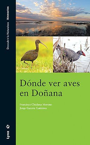 DÓNDE VER AVES EN DOÑANA