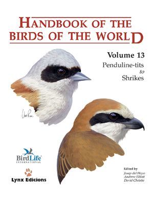 HANDBOOK OF THE BIRDS OF THE WORLD. VOL.13 *