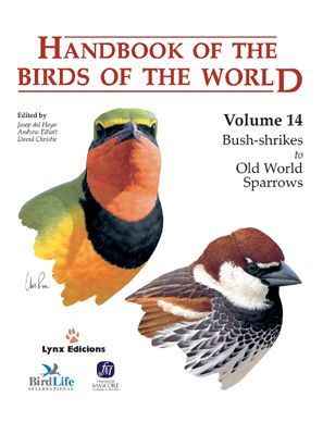 HANDBOOK OF THE BIRDS OF THE WORLD. VOL.14 *