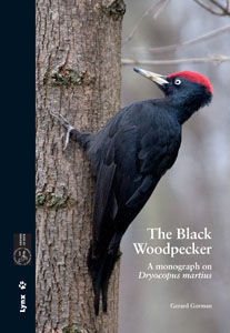 THE BLACK WOODPECKER *