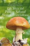 LAS SETAS DEL PARQUE NATURAL SIERRA DE GRAZALEMA * (SOLO PARA ENVÍO WEB)