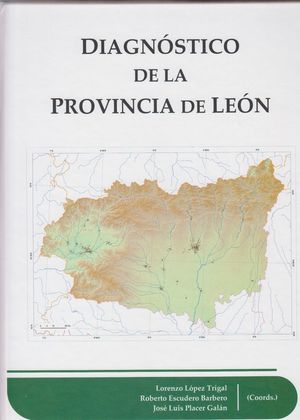 DIAGNÓSTICO DE LA PROVINCIA DE LEÓN *