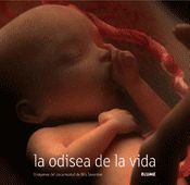 ODISEA DE LA VIDA *