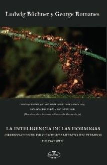 LA INTELIGENCIA DE LAS HORMIGAS *