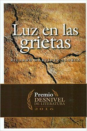 LUZ EN LAS GRIETAS  *
