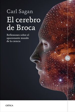 EL CEREBRO DE BROCA *