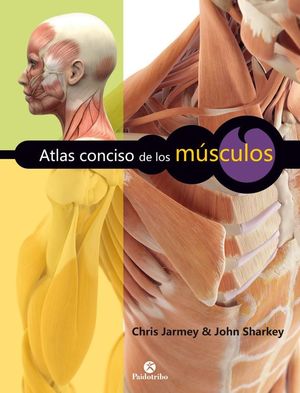 ATLAS CONCISO DE LOS MÚSCULOS (COLOR) *