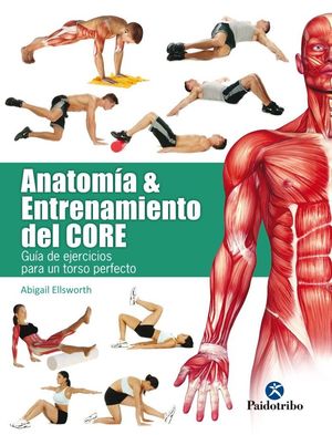 ANATOMÍA & ENTRENAMIENTO DEL CORE (COLOR) *