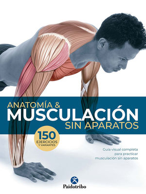 ANATOMÍA & MUSCULACIÓN SIN APARATOS