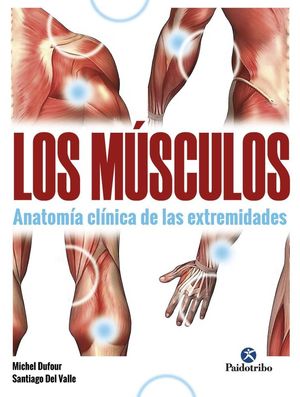 LOS MÚSCULOS *