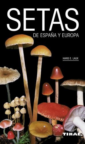 SETAS DE ESPAÑA Y EUROPA *