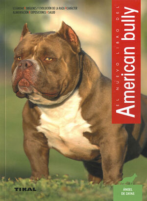 AMERICAN BULLY *