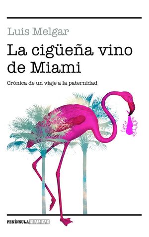 LA CIGÜEÑA VINO DE MIAMI *