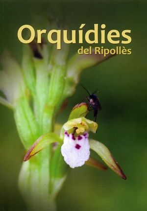 ORQUÍDIES DEL RIPOLLÈS  *