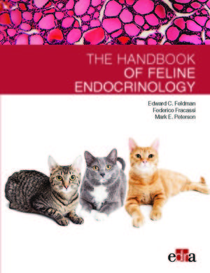 FELINE ENDOCRINOLOGY *