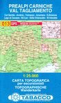 013 PRERALPI CARNICHE - VAL TAGLIAMENTO *